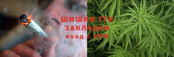 прущий лед Алзамай